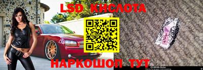 прущие грибы Волгодонск