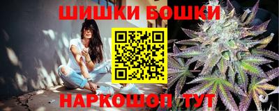 прущие грибы Волгодонск
